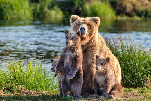 1755552 (a): :5120x3413